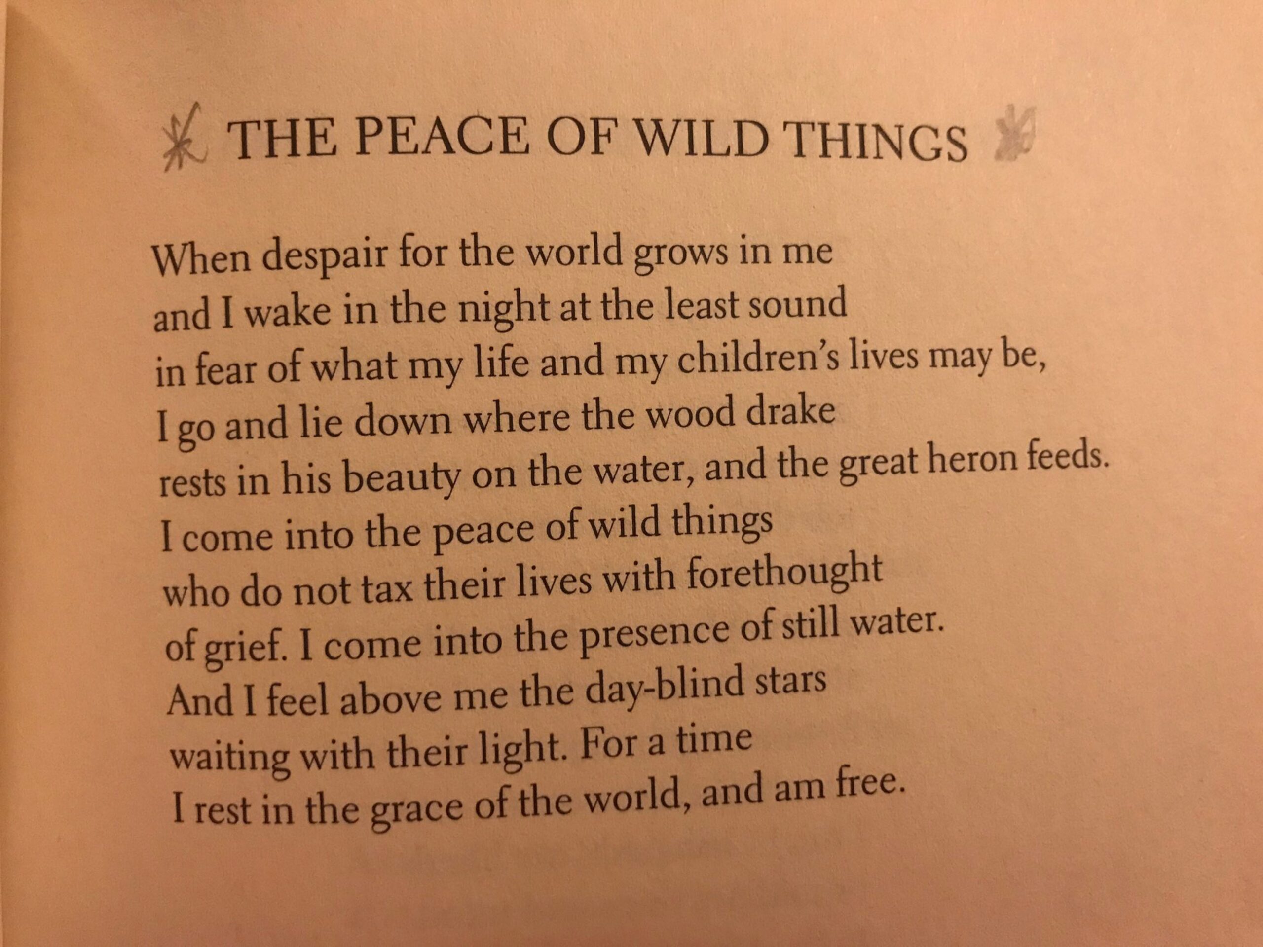 Wendell Berry: “The Peace Of Wild Things”